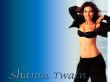 Shania Twain Wall 3 Wallpaer