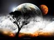 Under the World Wallpaer