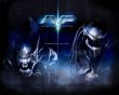 AVP poster Wallpaer