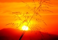 Sundown Wallpaer