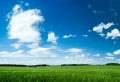 Summer Wallpaer
