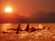 Sunset coast Wallpaer