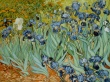 Vista flowers painting Wallpaer