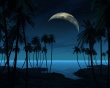 Exotic Blue Wallpaer