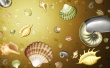 Shells Wallpaer