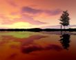 Watching the sunset Wallpaer