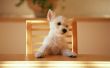 Dog at the table Wallpaer