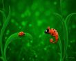 Bug and chameleon Wallpaer
