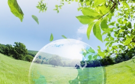 3D Green Nature Wallpaper