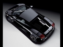 Gallardo rear up Wallpaper