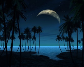 Exotic Blue Wallpaper