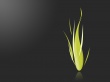 GFLem green Wallpaer