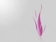 GFLem poison Wallpaer