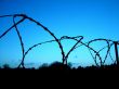 Wired fence Wallpaer