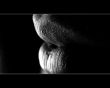 Greyscale lips Wallpaer