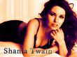 Shania Twain Wall 1a Wallpaer