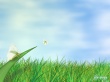 Fly Away Wallpaer