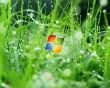 XP Logo and grass Wallpaer