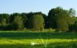 Windows 7 forest Wallpaer
