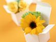 Boxed sunflower Wallpaer
