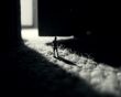 Person in miniature Wallpaer