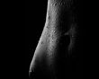 Wet body Wallpaer