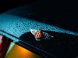 Bentley badge Wallpaer