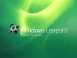 Leopard premium Wallpaer
