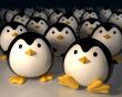 Penguin invasion Wallpaer