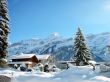 Winter Holiday Wallpaer