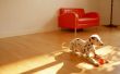 Playful dalmatian Wallpaer