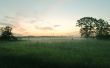Green field and mist Wallpaer