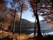 Autumn lake Wallpaer