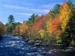 Colors of England Wallpaer