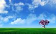 Pink tree Wallpaer
