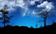 Blue contrast sky Wallpaer