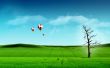Balloons over field Wallpaer