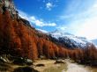 Gran Paradiso Wallpaer