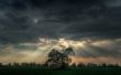Clouds over tree Wallpaer
