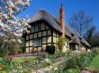 Spring Garden Wallpaer
