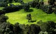Deep green Wallpaer
