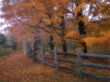 Country fence Wallpaer