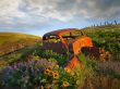 Dalles Hills Wallpaer