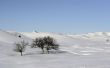Snowscape Wallpaer