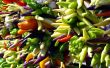 Lots of peppers Wallpaer