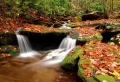 Beauty of Autumn Wallpaer