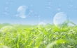 Bubbles in Nature Wallpaer
