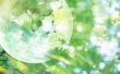 3D Bubbles Wallpaer