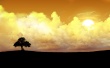 Alone tree Wallpaer