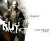Peter SarsGaard Wallpaer